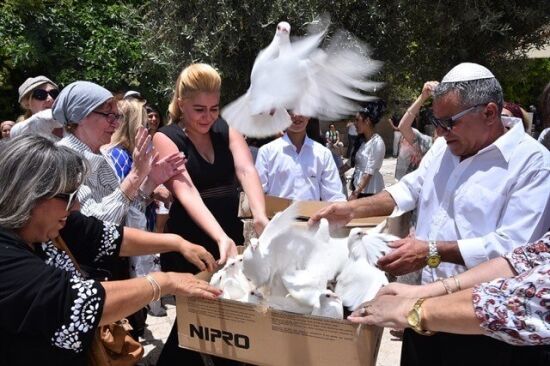 תמונה הפרחת יונים בכותל