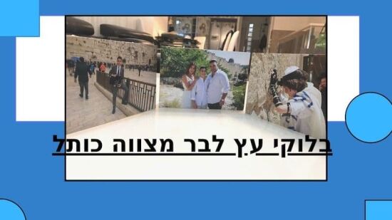 בלוקים של עץ על התמונה