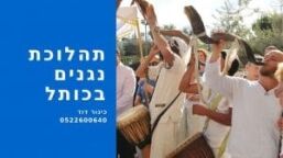 נגנים בכותל
