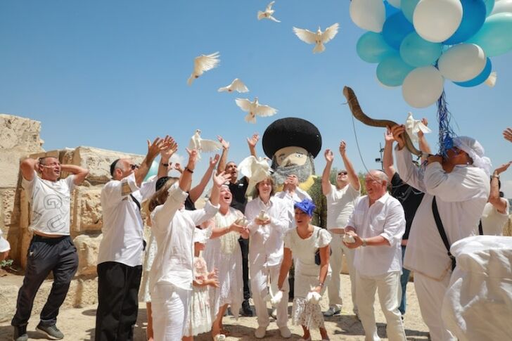 תמונה הפרחת יונים בכותל