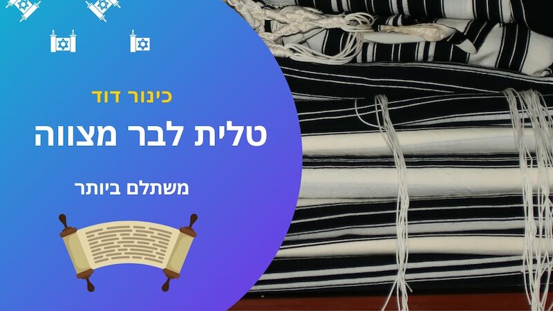 סט בחנות כינור דוד